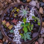 Palmatier Gardens - @palmatier_gardens - Instagram