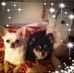 Gary Parkes - Facebook