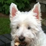 Gary Parkes - @gw.parkes - Instagram