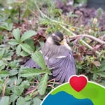 Gary Parkes - @parkesko - Instagram