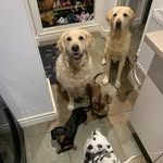Gary Passmore - @garypassmore88 - Instagram