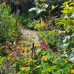Gary Patch - @thegardeningpatch - Instagram
