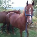 Gary Patrick - @gary.patrick - Instagram