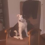 Gary Peake - @peake.gary - Instagram