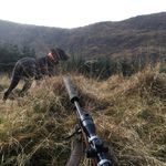 Gary Pell - @gaz9251 - Instagram