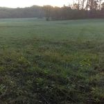gary pettyjohn - @gary.pettyjohn - Instagram