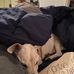 Gary Philbrick - Facebook