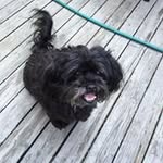 Gary Philip - @gary_philip1971 - Instagram