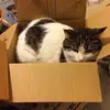 gary philip - @gary.philip2 - TikTok