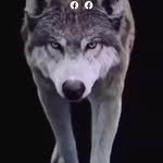 Gary Phillips - @gary.phillips031273 - Instagram