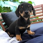 Gary-Pickles - @garypicklesgram - Instagram