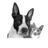 Gary&Pickles - @garyandpickles - TikTok