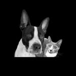 Gary&Pickles - @garyandpickles - Instagram