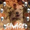 Gary Pierce - @gary.pierce8 - TikTok
