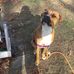 Gary Binette - Facebook