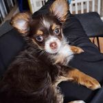 Gary Pinette - @jagka19 - Instagram