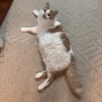 Gary Pinkel Rosner - @gary_rosner2018 - Instagram