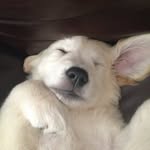 Gary Plaster - @gary.plaster.1 - Instagram