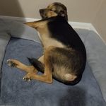 Gary Plotkin - @plotking67 - Instagram