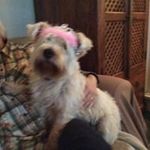 Gary T. Pollard - @garyt.pollard - Instagram