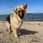 gary pomeroy - @garypomeroy69 - Instagram