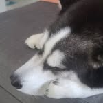 Gary Poon - @tappy0216 - Instagram