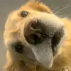 Gary Spoon - @garyspoon00006 - TikTok