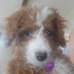Gary Popp - @poppster44 - Instagram