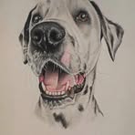 Gary Porter Jr. - Facebook