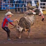 Gary Pratt - @gpbullfighter - Instagram