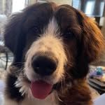 Gary Presnell - @garypresnell - Instagram