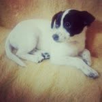 Gary Prevost - @vanhotcut - Instagram