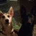 Gary Prevost - Facebook