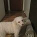 Gary Pyles - Facebook