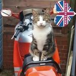 Gary Quinton - @gary.quinton.98 - Instagram
