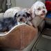 Gary Rabon - Facebook