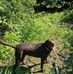 Gary Radtke - Facebook