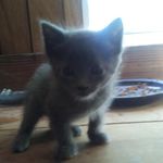 Gary Ragan II - @gameovergod3 - Instagram