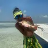 garyraley602 - @garyraley602 - TikTok