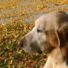 Gary Randall - @gary.randall0 - TikTok