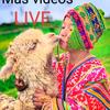 Gary Noe Maron Lopez Record - @garynoemaronlopez - TikTok