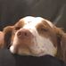 Gary Rettig - Facebook