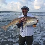 Gary Rex - @0l_pops - Instagram