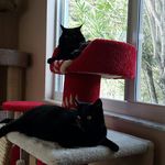 gary ricker - @rickergary - Instagram