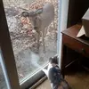Gary Rickert - @gary.rickert - TikTok