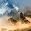 Gary Ricketts - @lunawolf66666 - TikTok