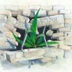 Gary W Ricketts Jr. - @cannabisking714 - Instagram