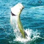@gary_ristick_fl_ - Instagram