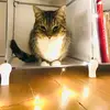jocelynlarsson - @ritz_and_gary - TikTok