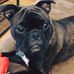 Gary Roach - Facebook